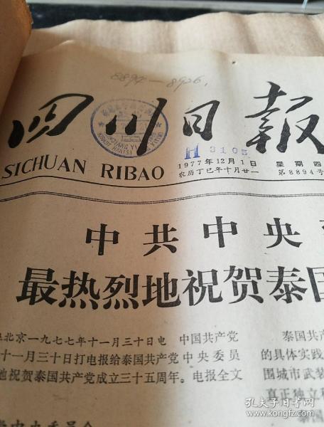 报纸